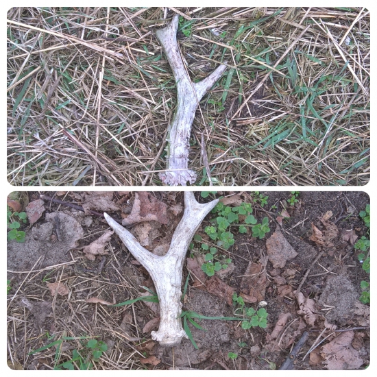 Dnes v praci ( meninove )