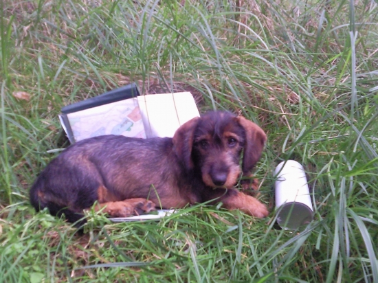 pri vyznačovani NŤ