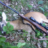 Náhodné stretnutie