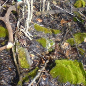 tak ako som ho nasiel