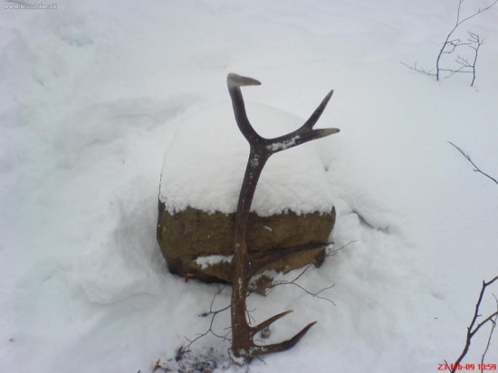 lepsiu nemam
