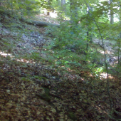 teraz ho uz snad budu vsetci vidiet :))