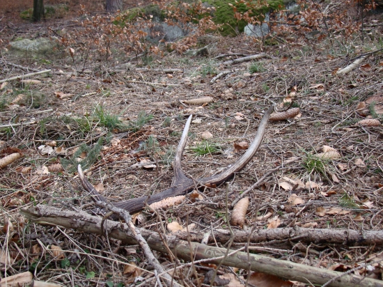 Dnes, stále nič cerstveho