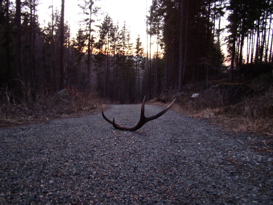 druhý do paru na ceste:)