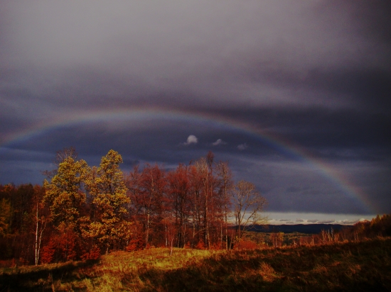Rainbow:)
