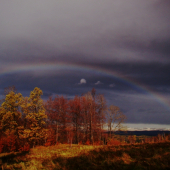 Rainbow:)