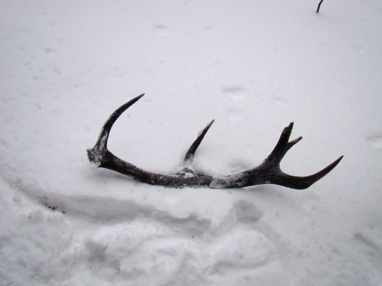 10torak po vytiahnutí id 199815