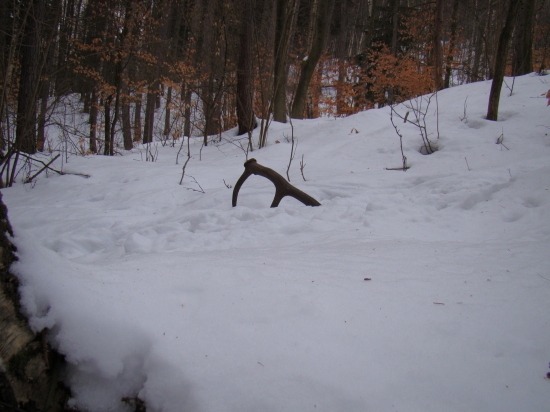 bude ďalší par :)