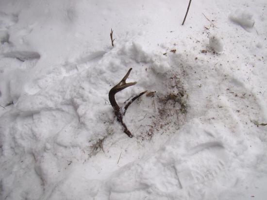 za chvíľu ťa chytím :)