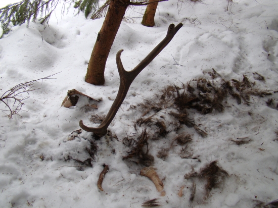 strašné účinky zimy