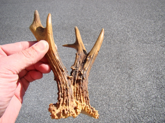 Dva v jednom!!!To sa nestáva často :) 1