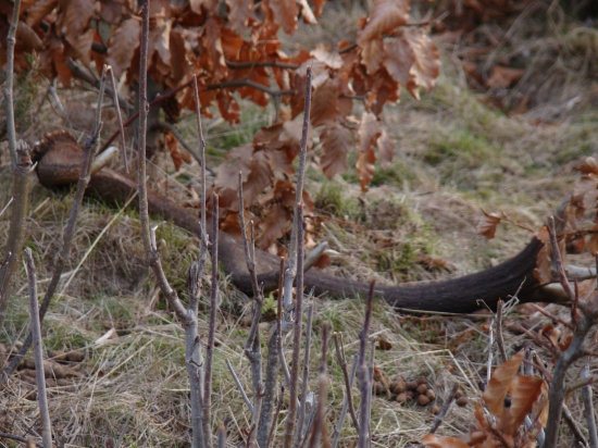 10-torak prvý pohľad
