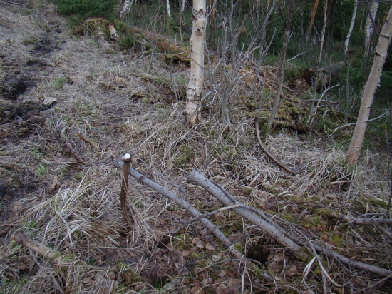 Zhodiky par :) darček  narodeninovy