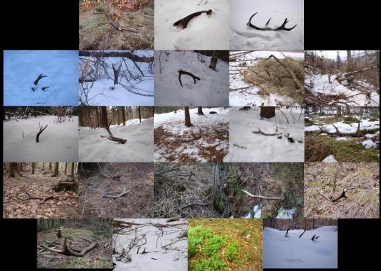 šťastné okamihy 2013