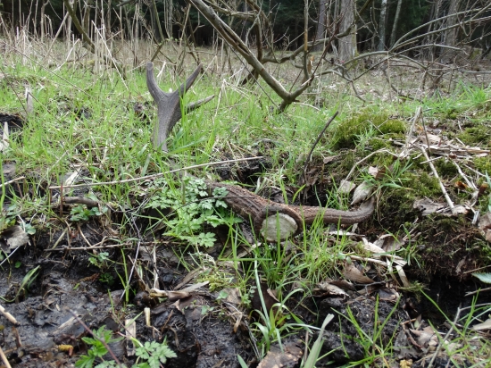 Dnešná sobotu a jeden z troch