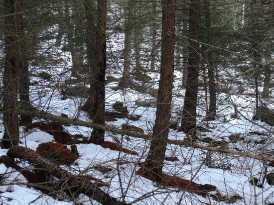 čo znamená, že je dobré oko :)