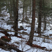 čo znamená, že je dobré oko :)