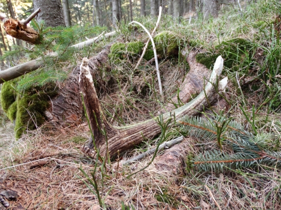 ďakujem za dobrú prácu :)