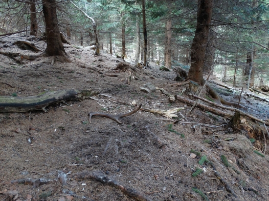 Kde mladý muž spal