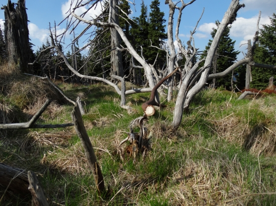 to bolo vysoko v horách