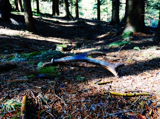 Dnesny,druhý v máji.