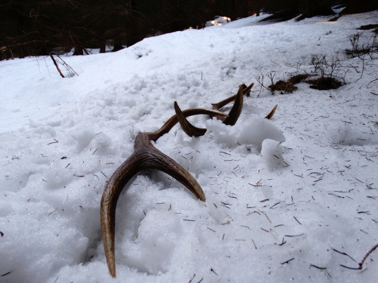 správne vykonané 2