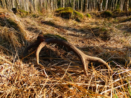 ďalší čerstvy :)