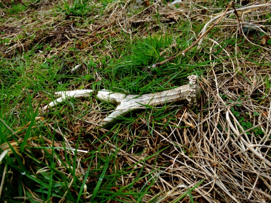 Šťastie v nešťastí