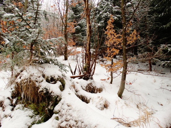 z tých lepších .1.