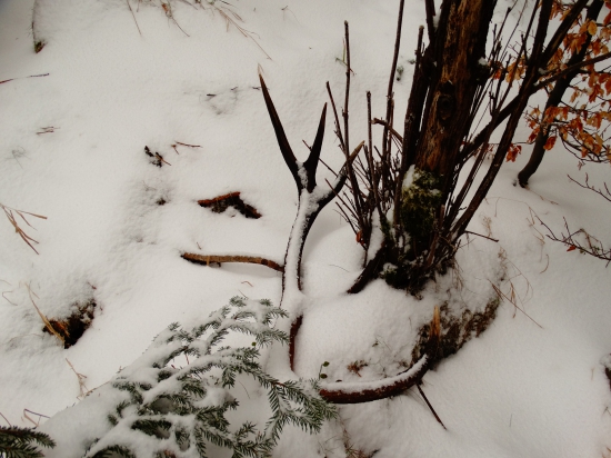 z tých lepších.2.