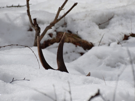 sezóna začala prvý pohľad
