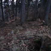 dnesna para