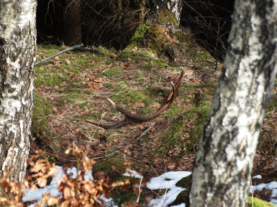 Prvý pohlad na metrový zhod.