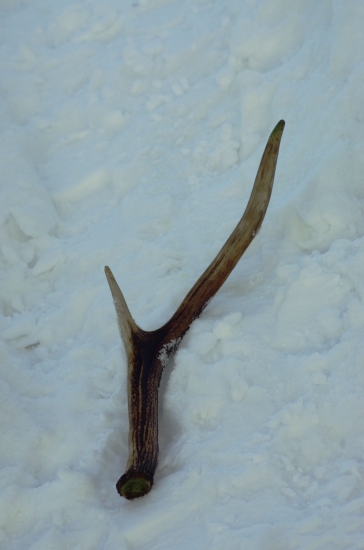 Po vytiahnutí včera