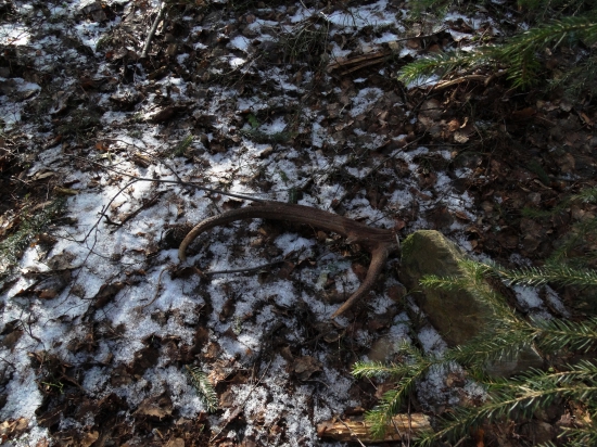 Čerstvý ale zlomený