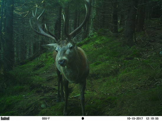 selfie