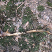 kolko rokov namna cakal???