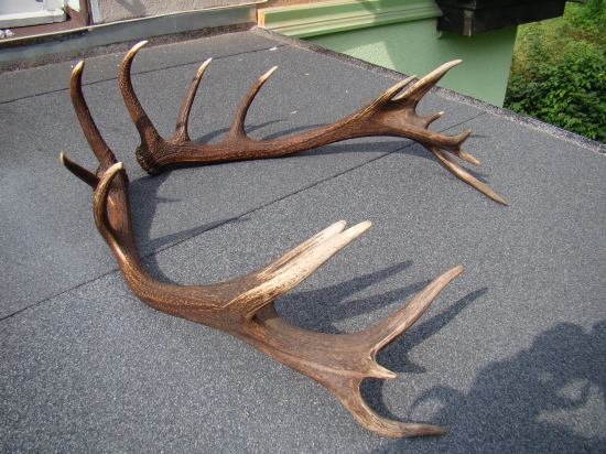 18torak nepravidelny