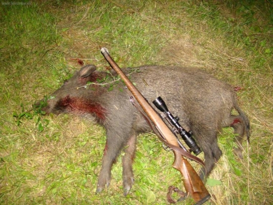 včerajší lanštiak