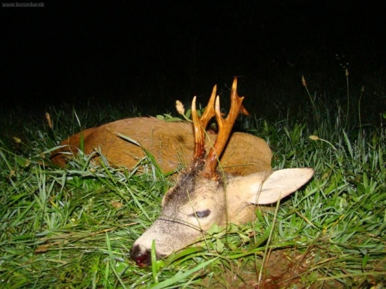 Kamarátova III. VT - Roman M.