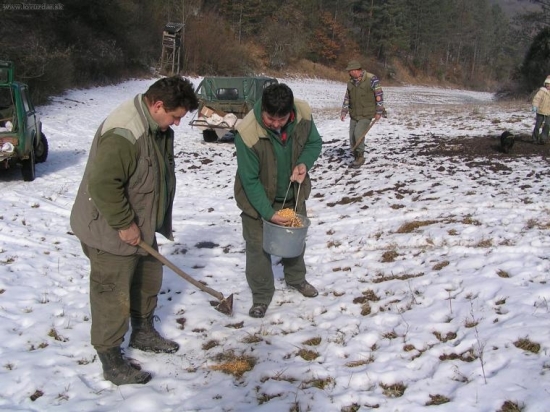 vakcinácia pre diviaky