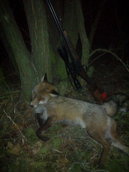 stary pan dokraloval