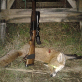 stošesdesiatpet . . .