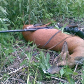 ...úspešné ráno...