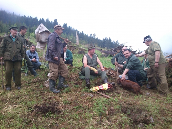 zalesnovacka PZ Svatojanska dolina
