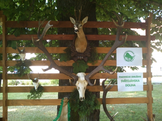 Svatojanske dni 2013