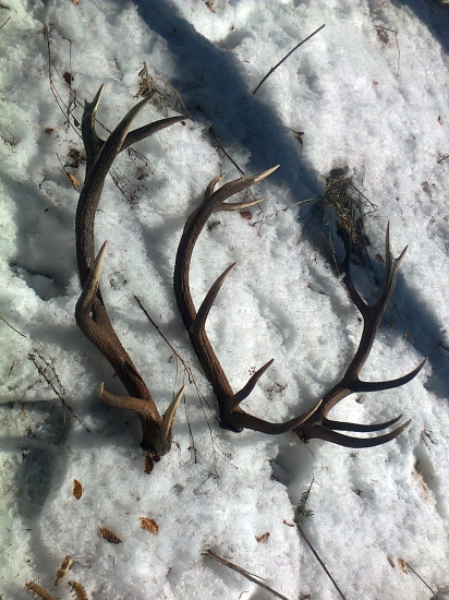 .... dnes sa darilo.. :D