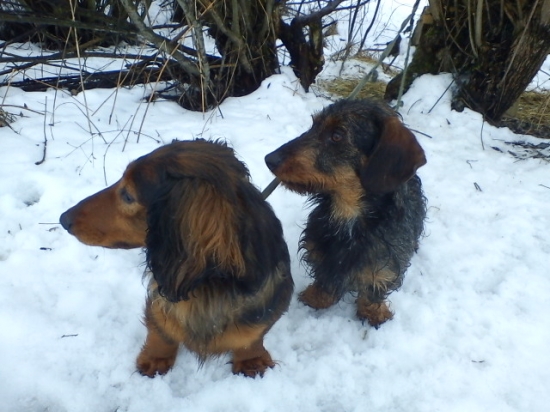 Dnešná prechádzka