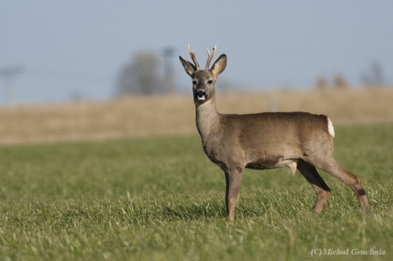 Poslední slunečné dny...