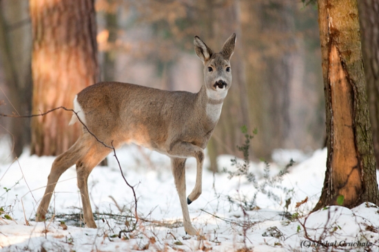 Čekání se vyplatilo i v mínus 9ti